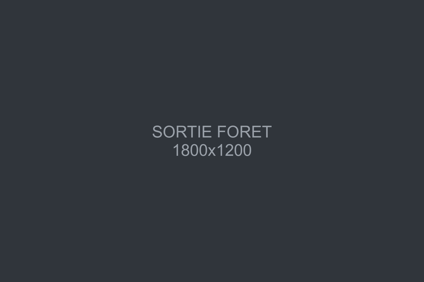 Élise et trois spitz sur un sentier forestier de Chartreuse