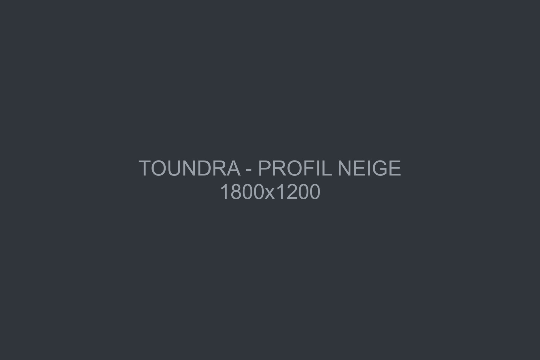 Toundra de profil dans la neige, fourrure sombre contrastant avec le blanc